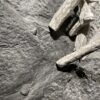 Tomasz Westrych 'Intensity' - Image 3